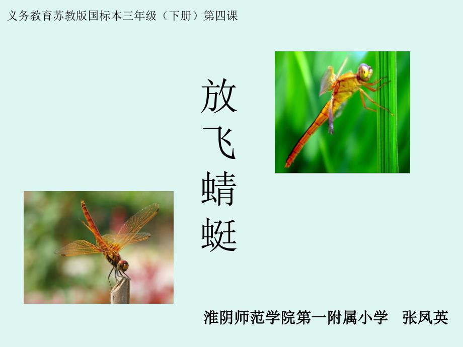 最新课件放飞蜻蜓_第1页
