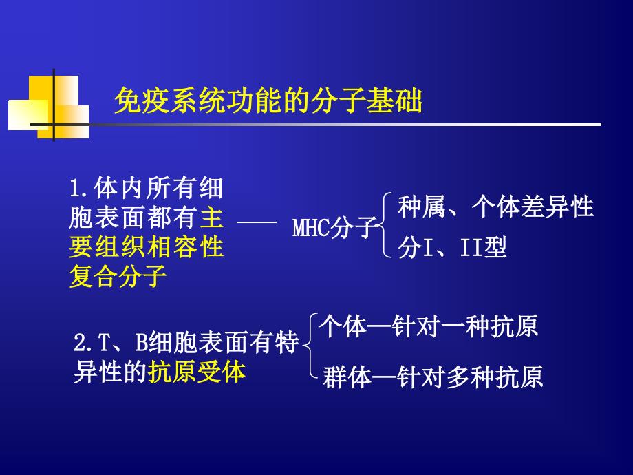 免疫系统(本科)知识分享_第3页