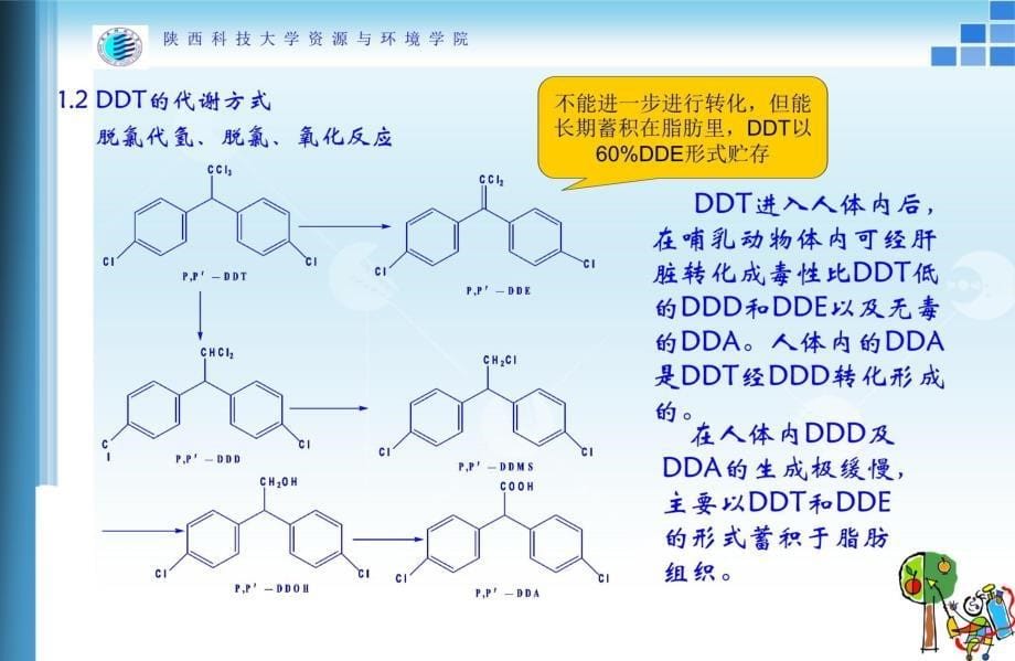 农药毒理学讲义教材_第5页