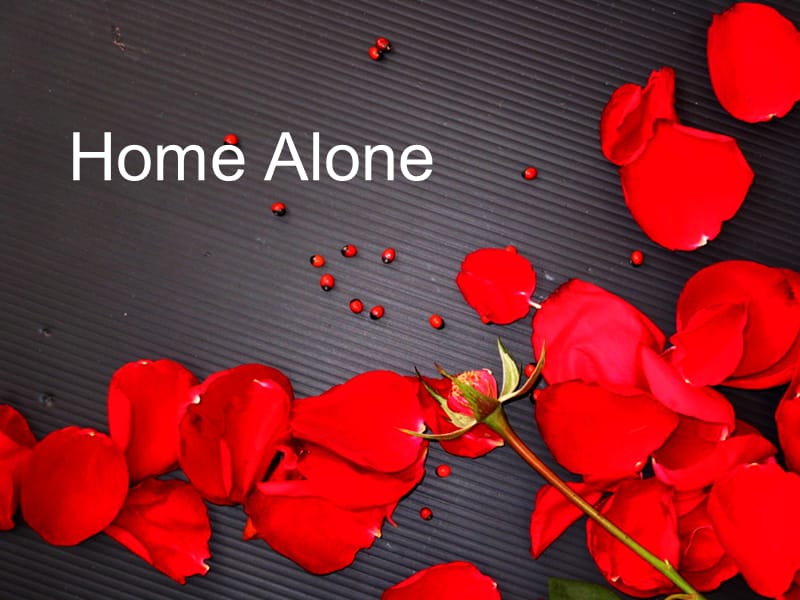 Home-Alone-1小鬼当家_第1页