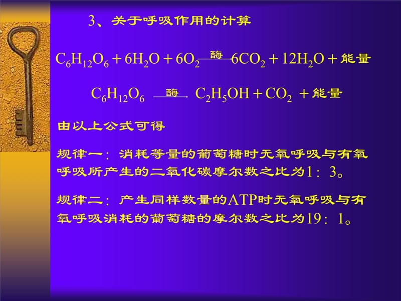 高考生物计算题的有关规律教学材料_第5页