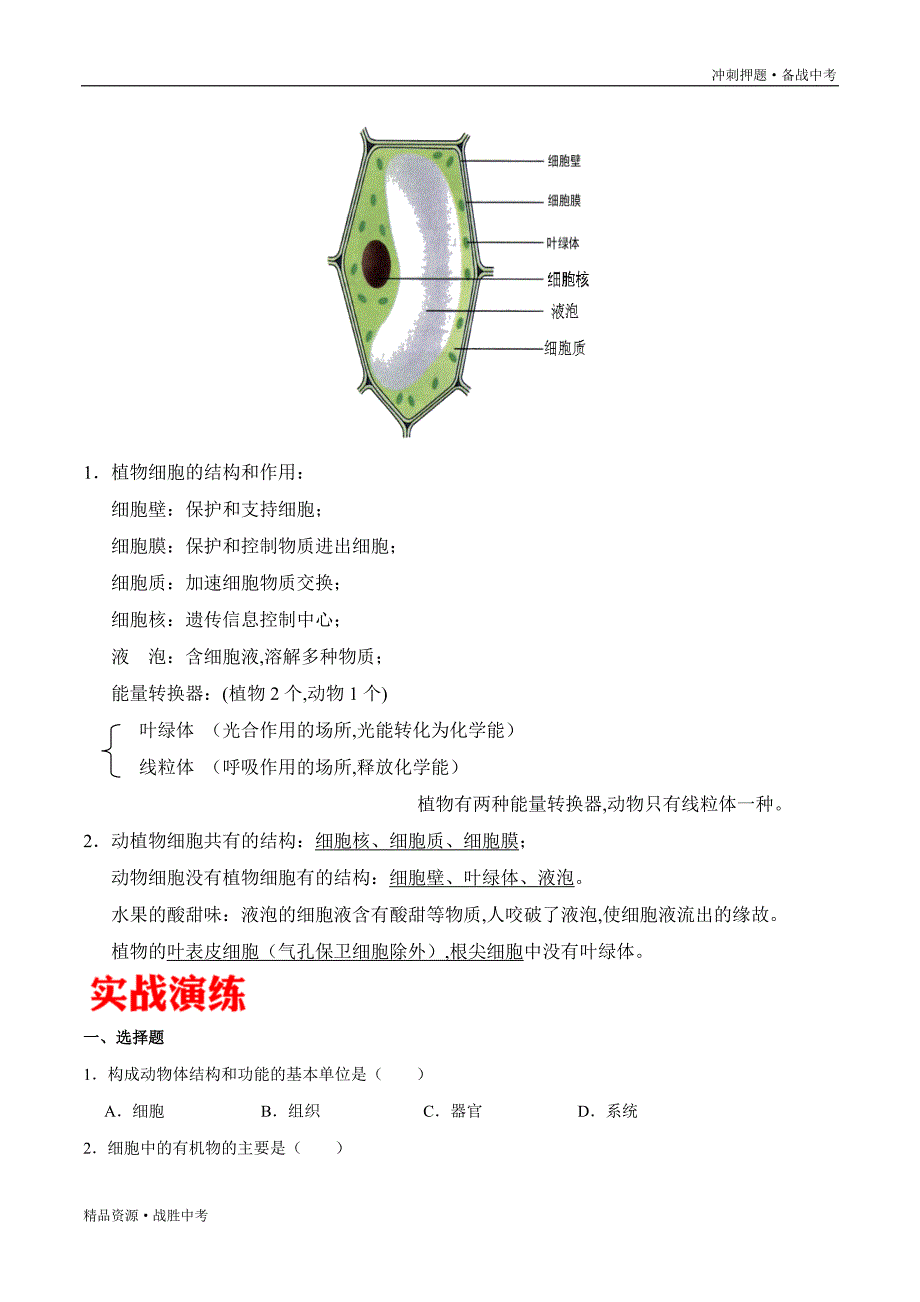 冲刺2021年【中考冲刺】生物核心考点试卷：细胞是生物体结构和功能的基本单位（学生版）_第3页