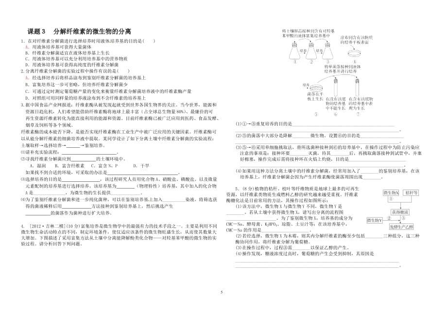 微生物学案t Word 文档_第5页