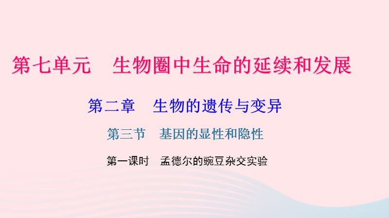 鲁科教习题课件淄博一中八年级生物下册第七单元第二章第三节基因的显性和隐性第1课时孟德尔的豌豆杂交实验38_第1页