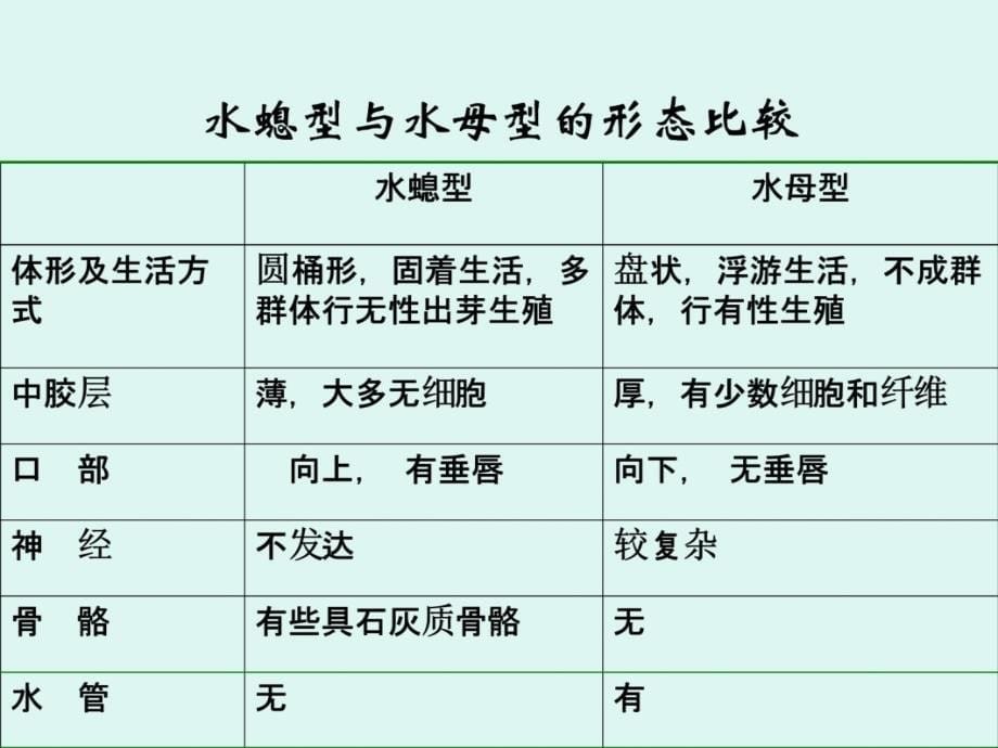 腔肠动物门Coelenterala腔肠动物是真正后生动物的开讲义教材_第5页