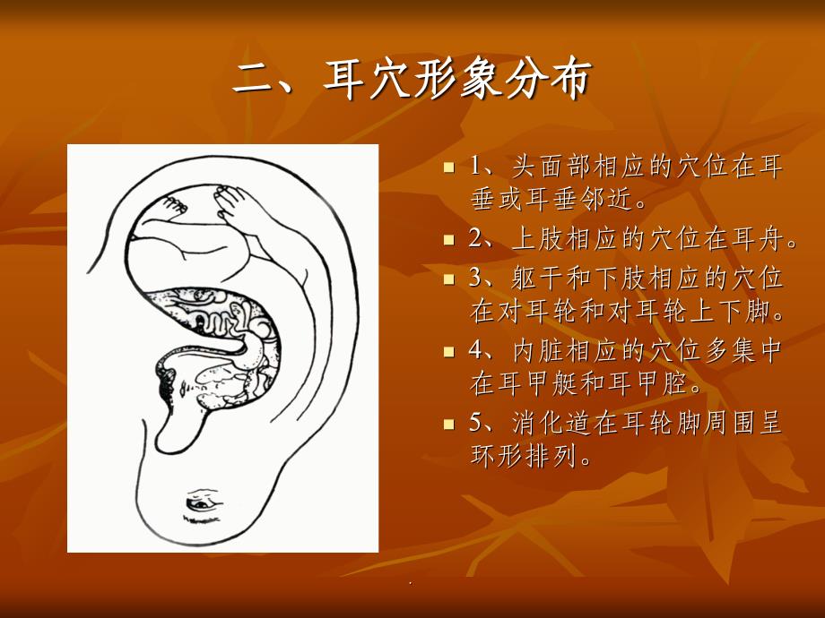 耳穴压豆最新版本ppt课件_第3页