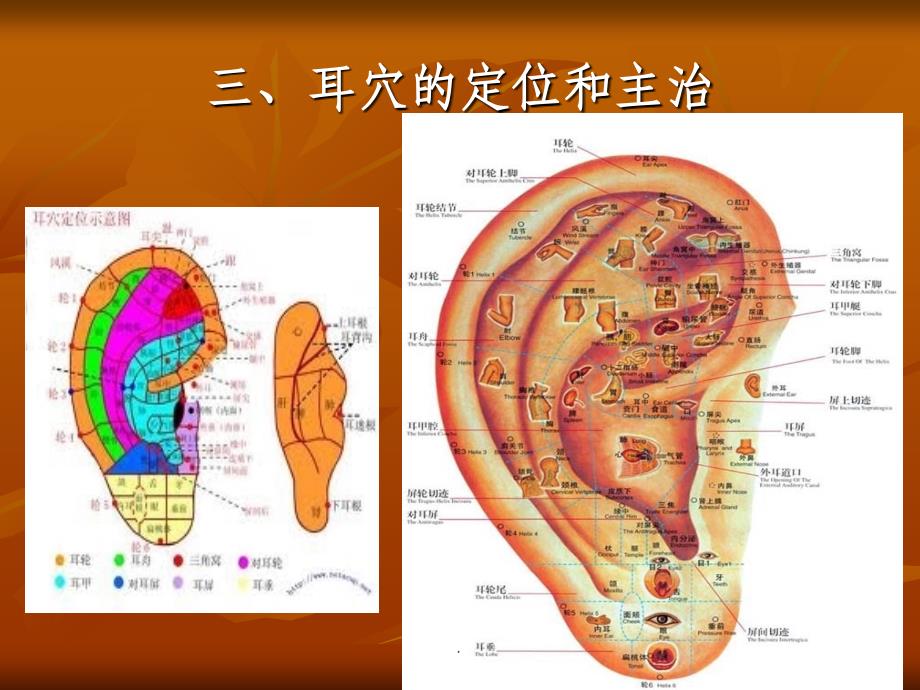 耳穴压豆最新版本ppt课件_第4页