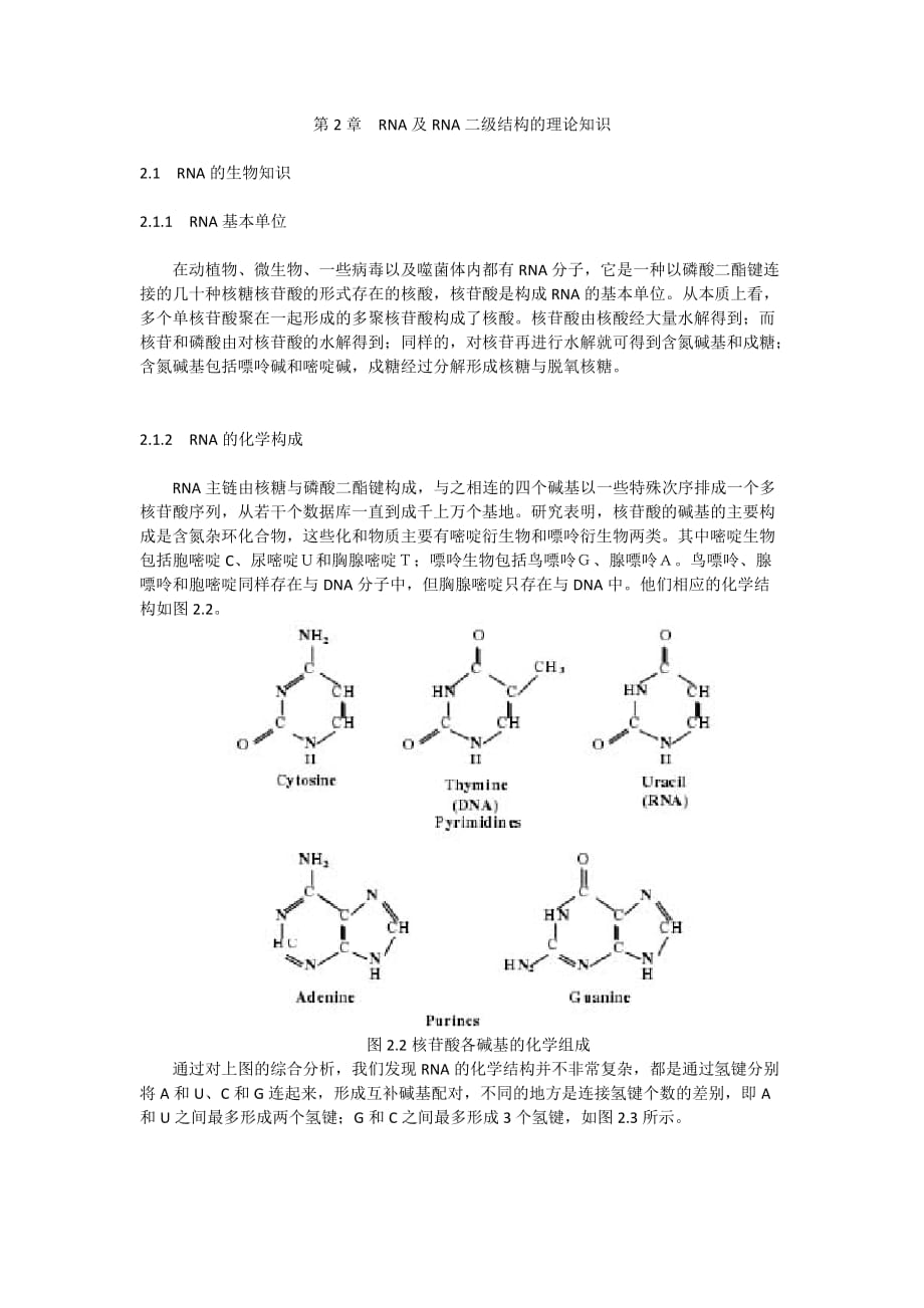 RNA及RNA二级结构的理论知识.doc_第1页