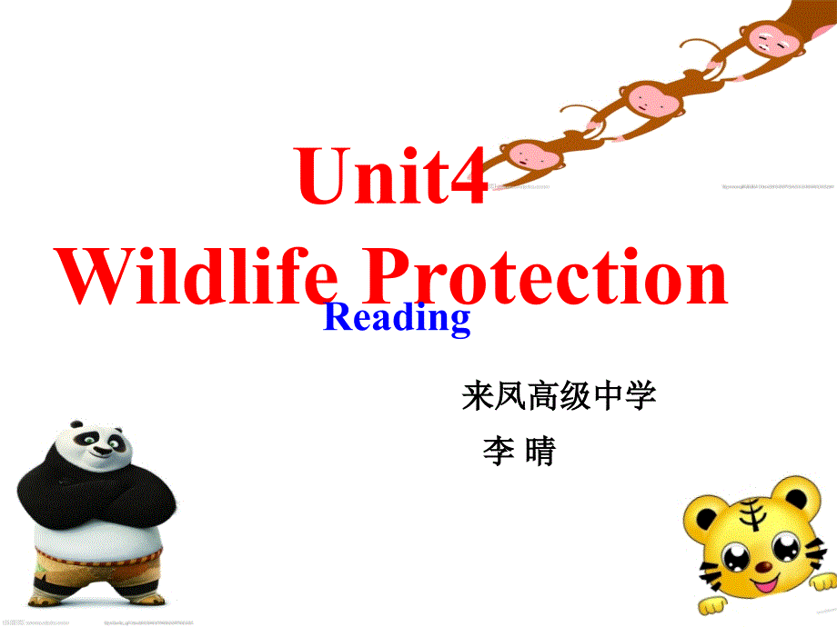 人教版必修二unit4 wildlife protection (reading )_第1页