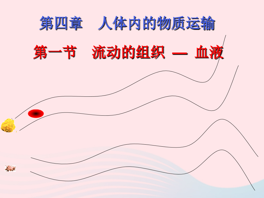 人教江苏省一中七年级生物下册4.4.1流动的组织血液课件370_第2页