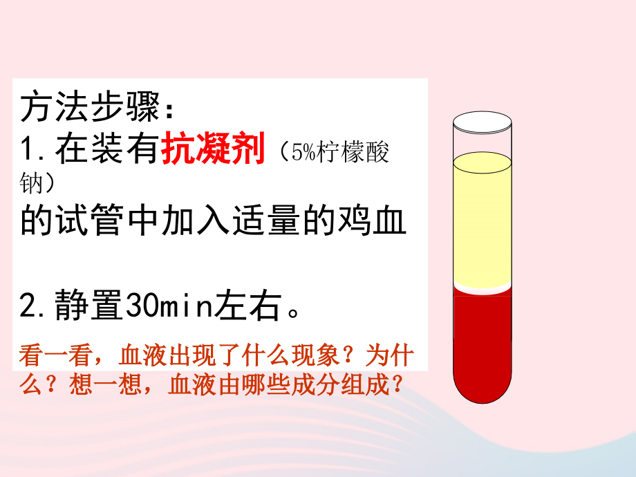 人教江苏省一中七年级生物下册4.4.1流动的组织血液课件370_第4页