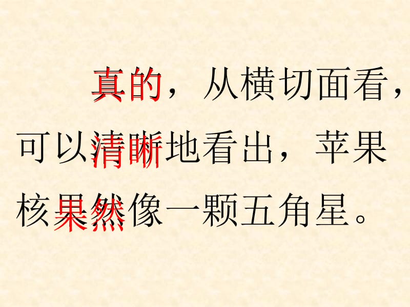 最新课件苏教版小学语文四年级下册《苹果里的五角星》课件_第3页