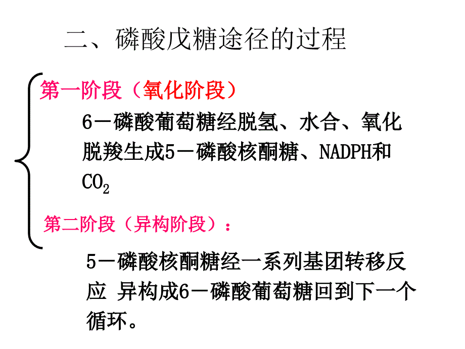 磷酸戊糖途径 糖异生及糖原合成培训讲学_第4页