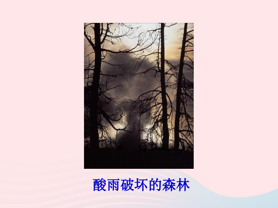 人教江苏省一中七年级生物下册4.7.2探究环境污染对生物的影响课件251_第4页