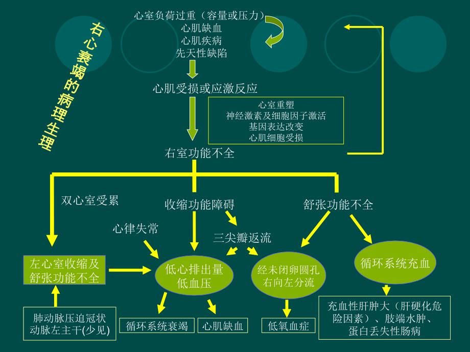 -右心衰竭诊疗进展-李新立_第4页