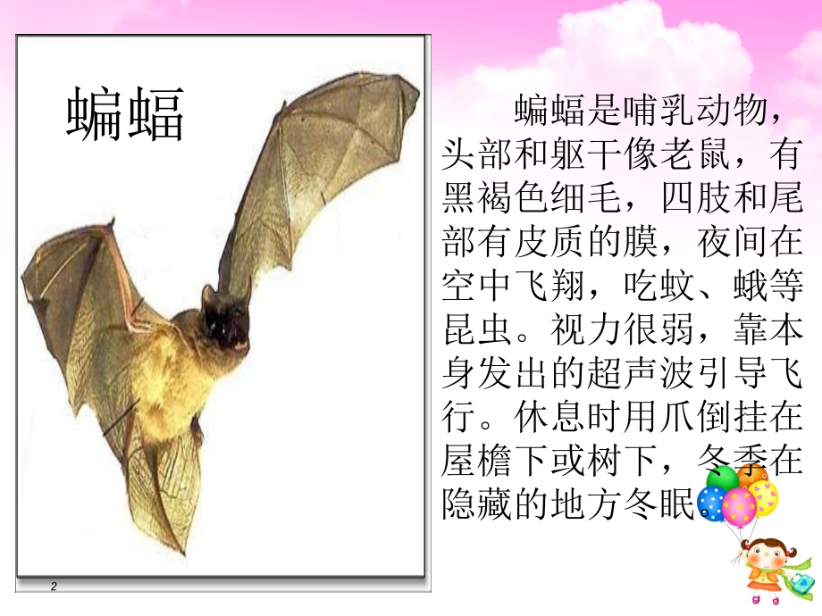 人教版四年级语文下册11.蝙蝠和雷达(完美版)_第2页