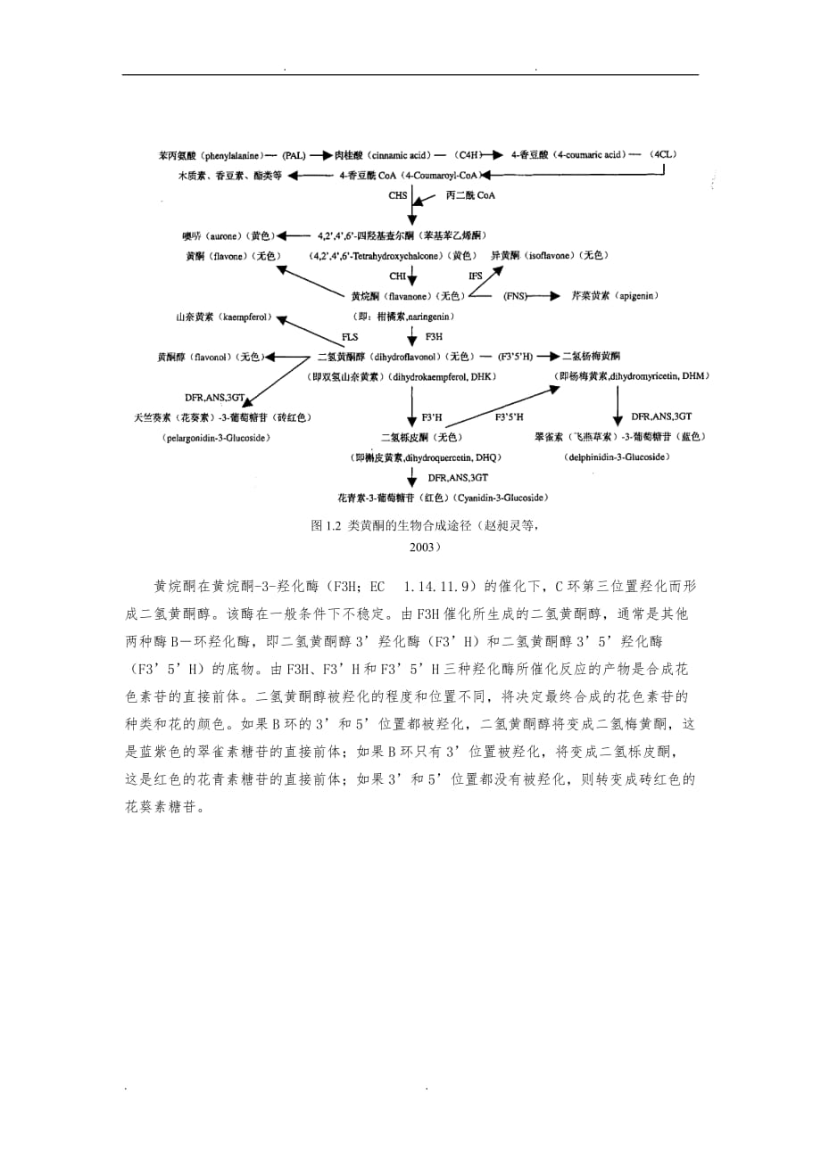 花色素苷生物合成相关基因的研究进展_第2页