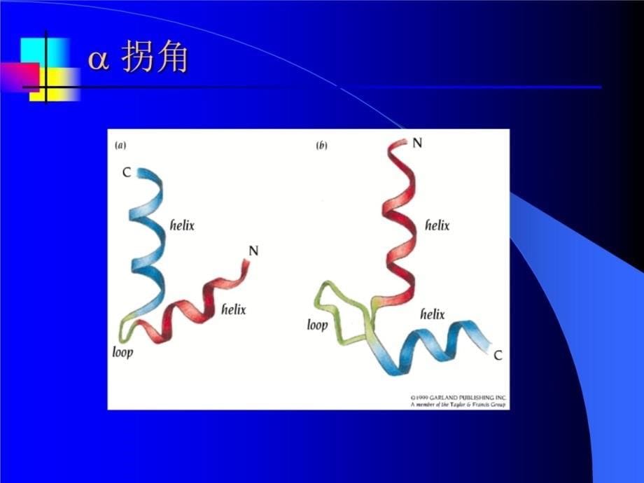 结构生物学8教学教材_第5页