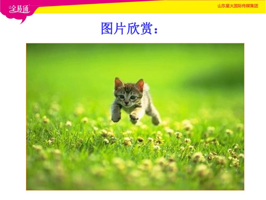 优秀郑振铎《猫》_第3页