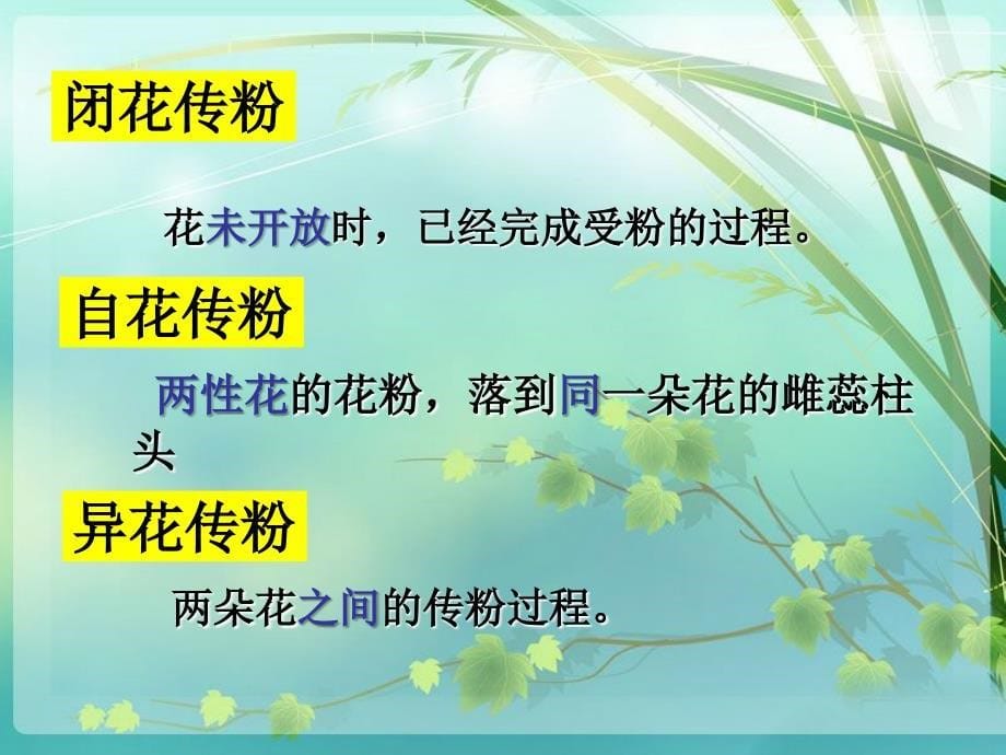 人教版必修2第一章第一节孟德尔的豌豆杂交实验_第5页