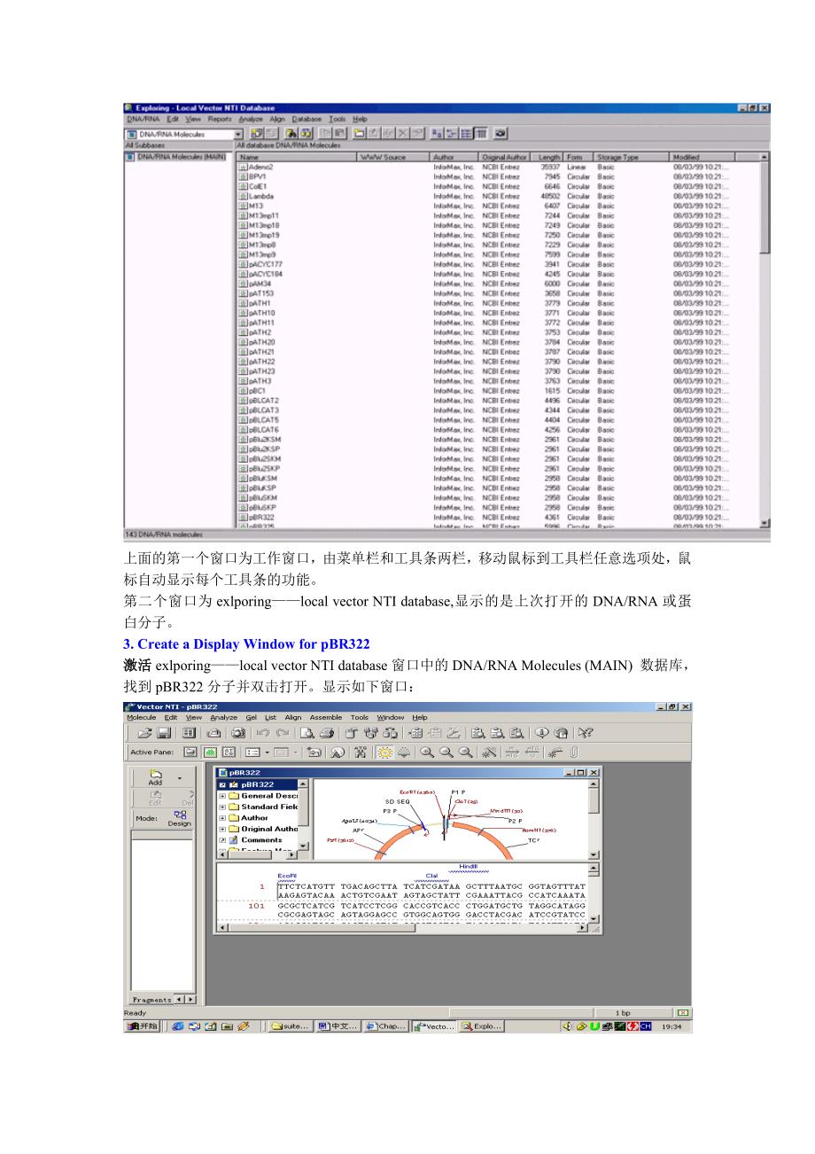 Vector_NTI_中文使用说明书.doc_第2页