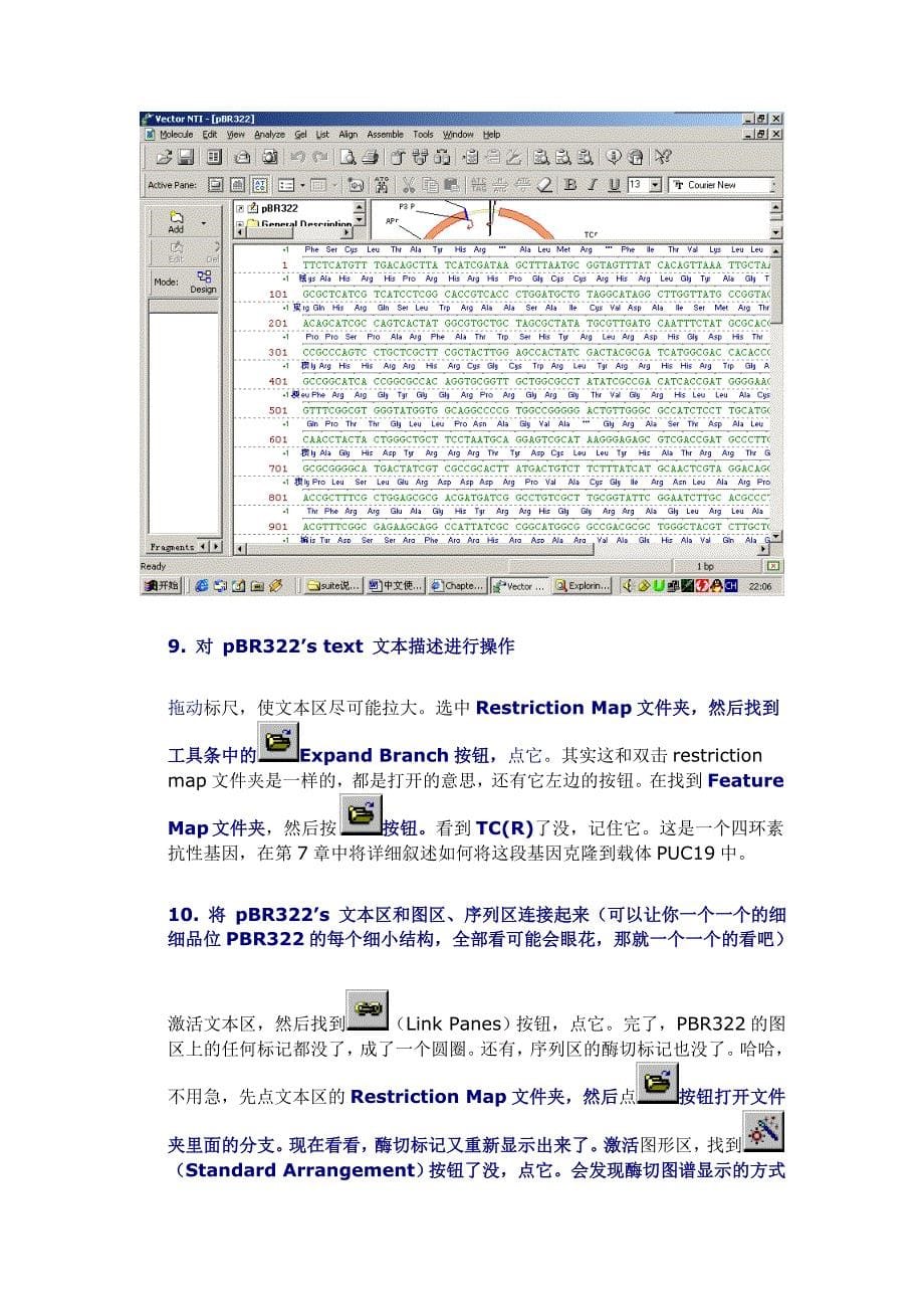 Vector_NTI_中文使用说明书.doc_第5页