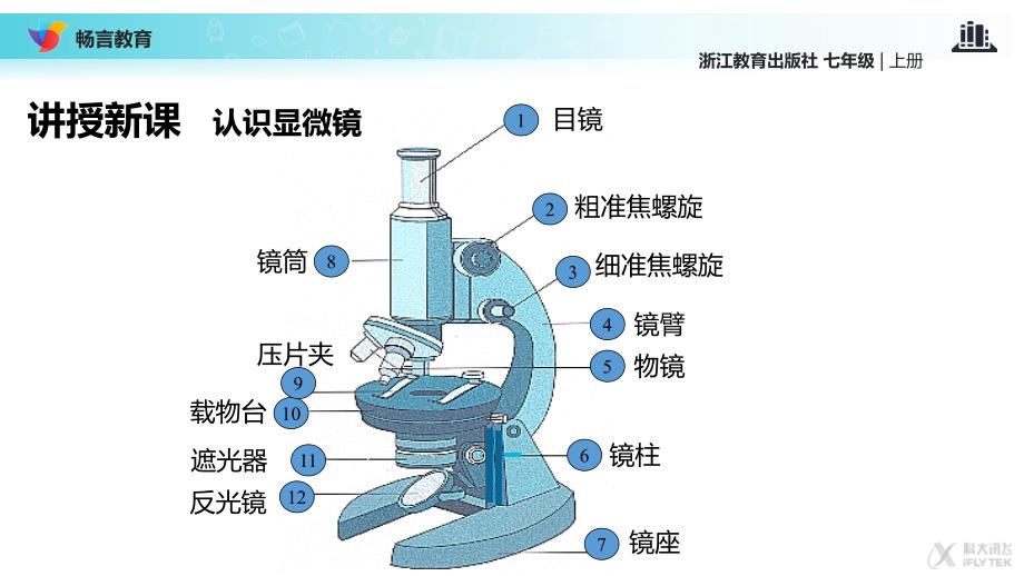 【教学课件】《细胞》（第3课时）（科学浙教七上）_第3页