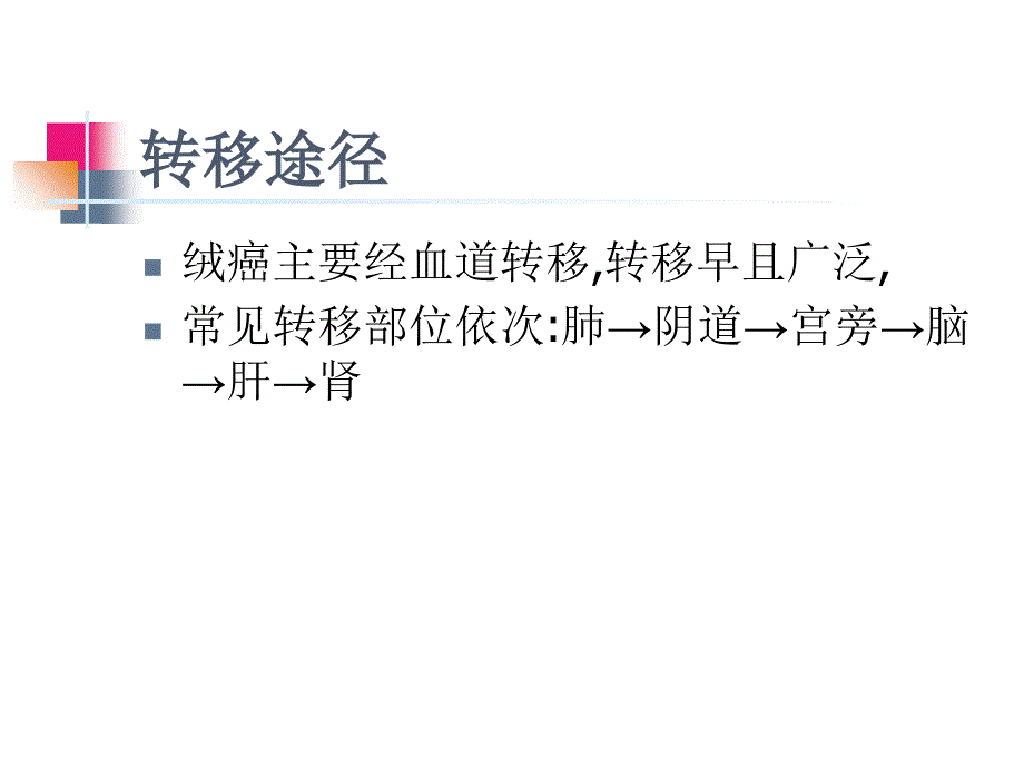 绒癌护理查房课件_第4页