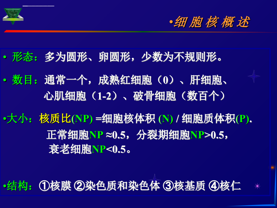 细胞生物学细胞核课件_第4页