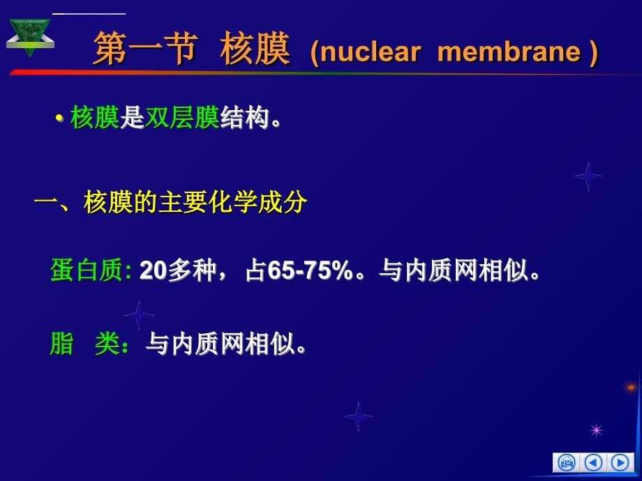 细胞生物学细胞核课件_第5页