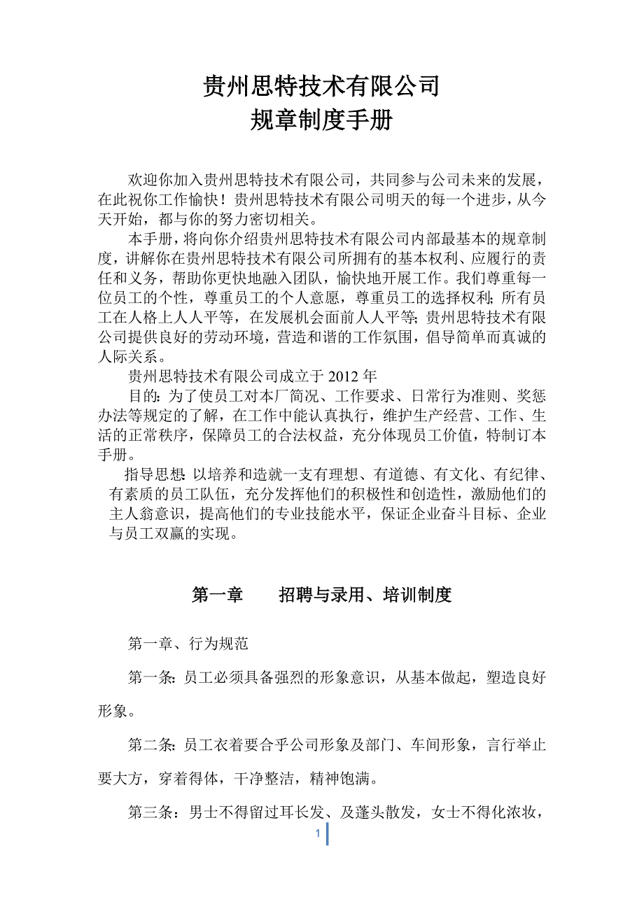企业管理手册贵州思特技术公司规章制度手册_第1页