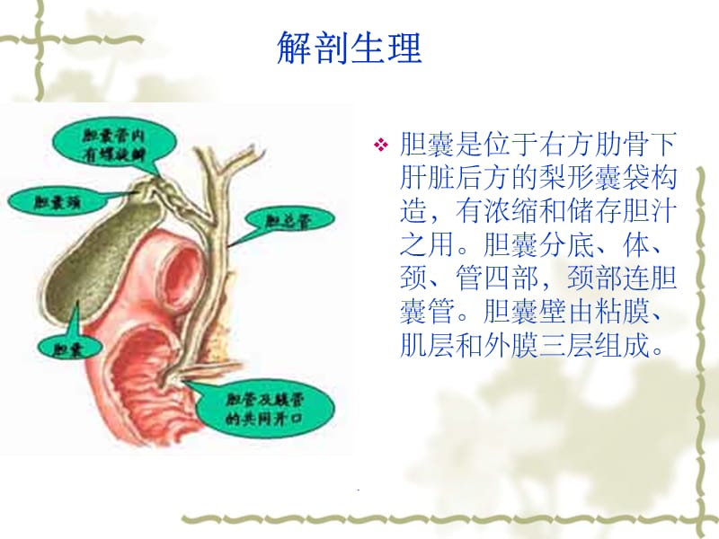 胆囊炎病人护理理_第3页