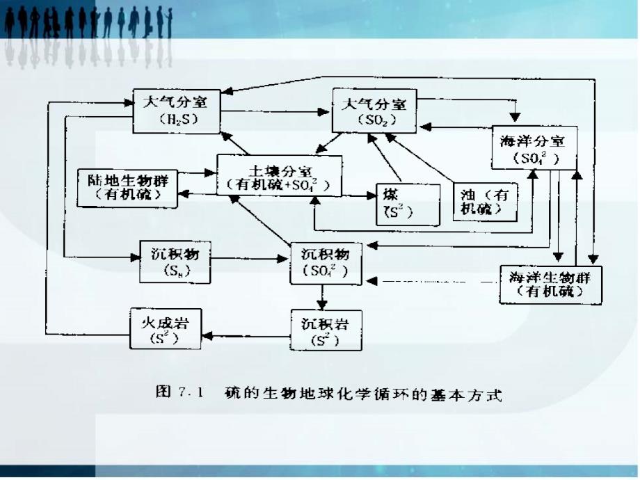 第七章__硫的生物地球化学循环_第4页