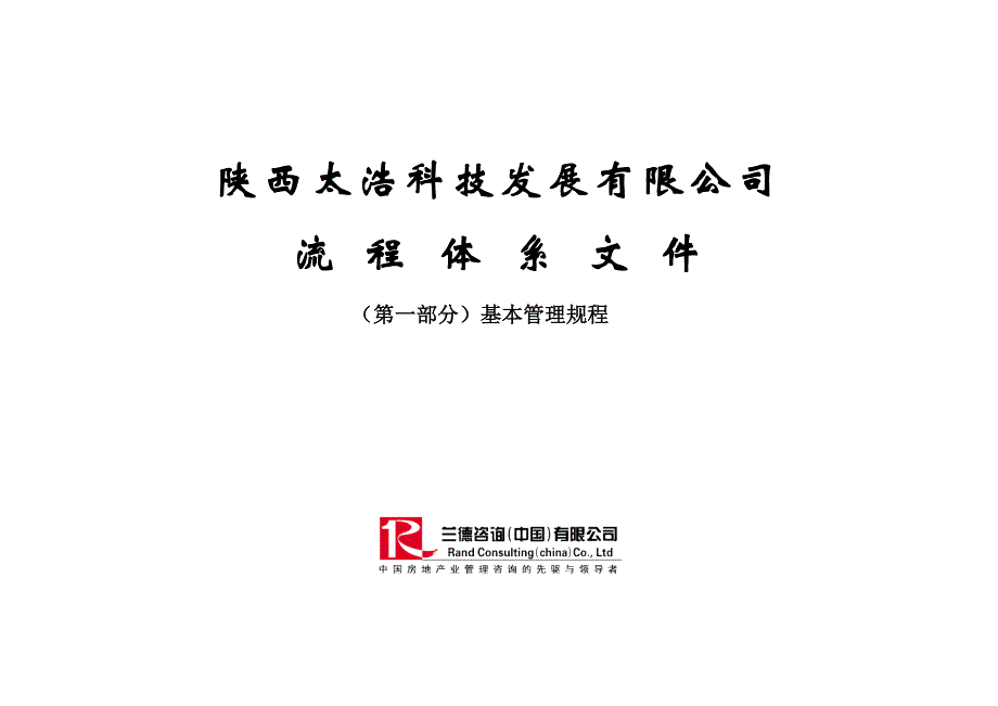 企业发展战略某科技发展公司流程体系文件_第1页