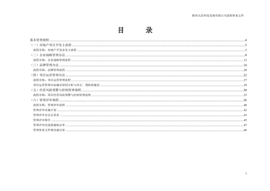 企业发展战略某科技发展公司流程体系文件_第2页