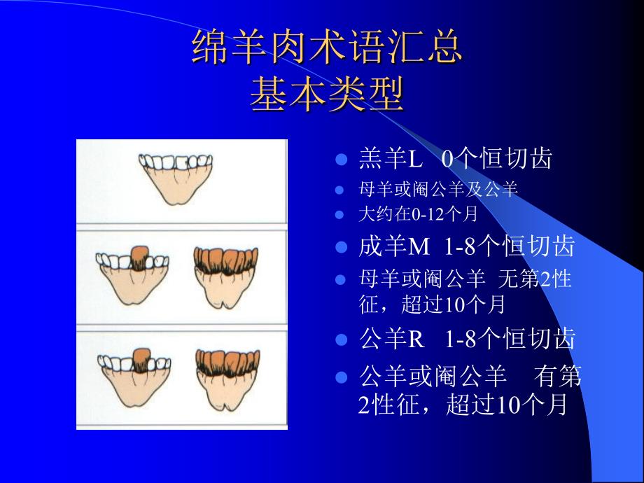 澳洲肉品手册_绵羊肉_第1页