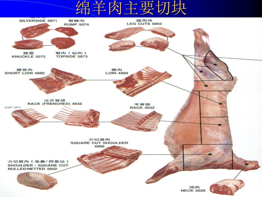 澳洲肉品手册_绵羊肉_第3页