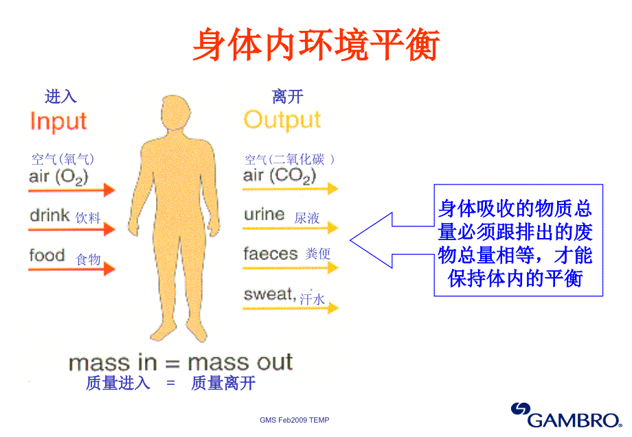 肾脏基础知识课件_第3页