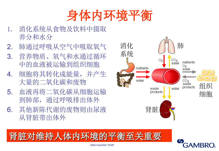 肾脏基础知识课件_第4页