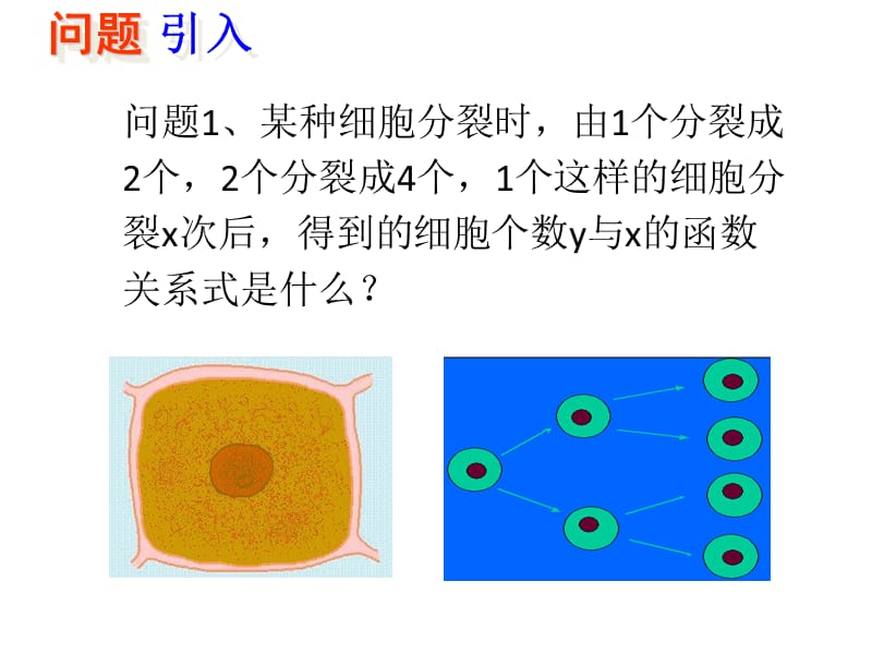 指数函数的定义课件_第2页