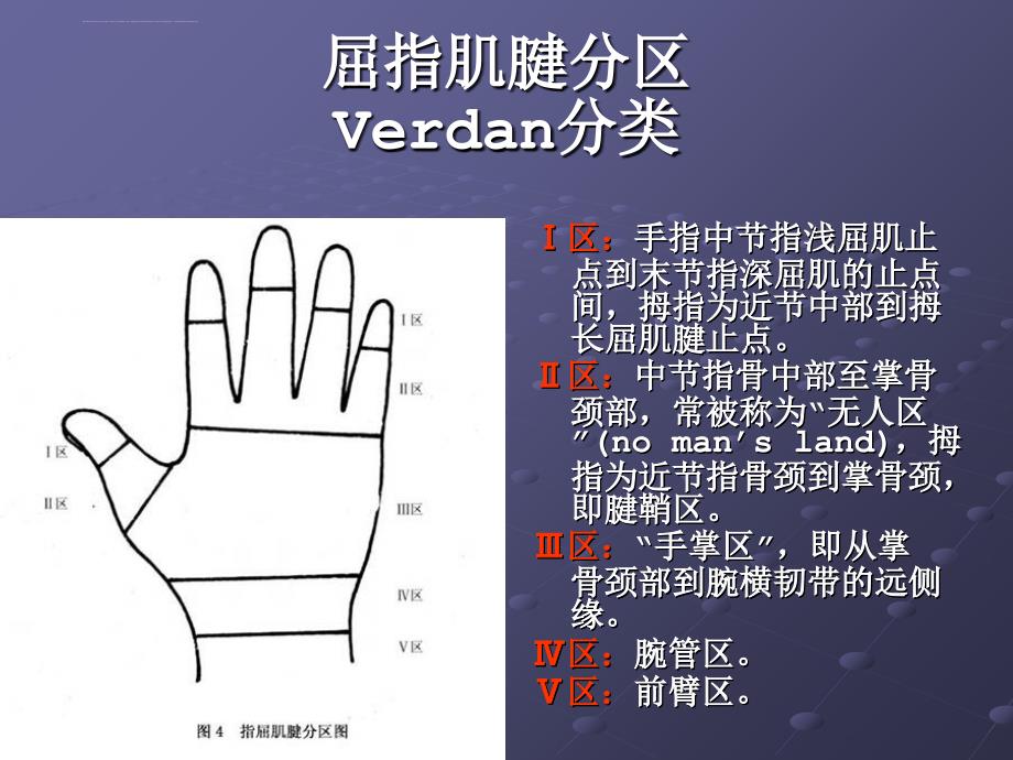 肌腱缝合技术课件_第4页