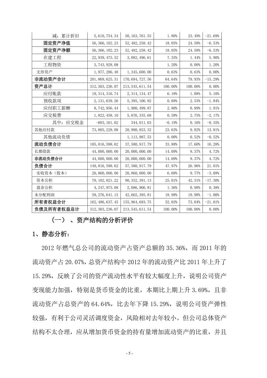 年度报告某某某年度财务分析报告_第5页