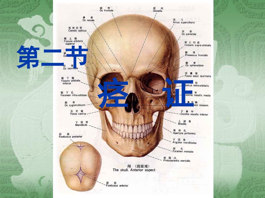 痉证讲课教案_第1页