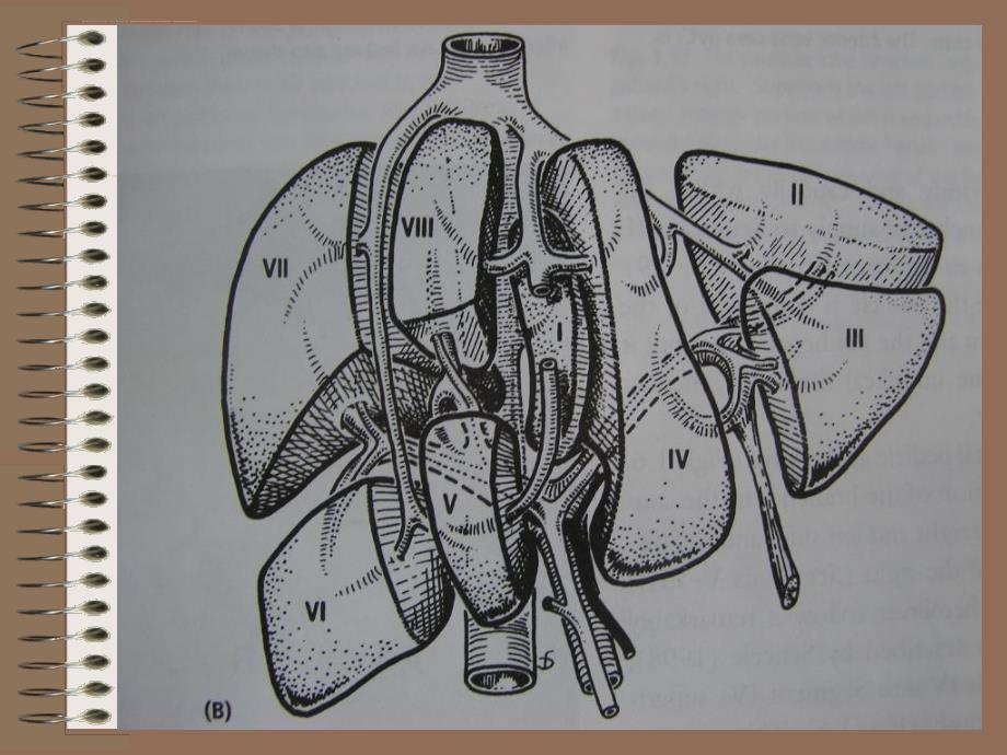 肝胆外科常见疾病CT阅片-PPT文档资料课件_第2页