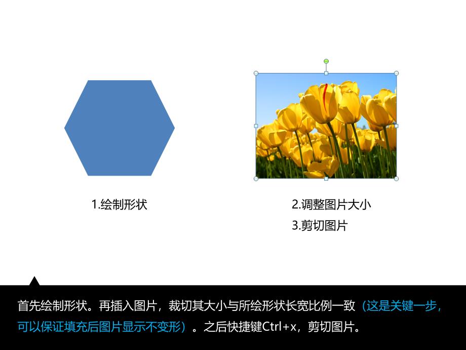 教程图片处理效果之剪贴板填充图片技巧经验灰色的风知识分享_第2页