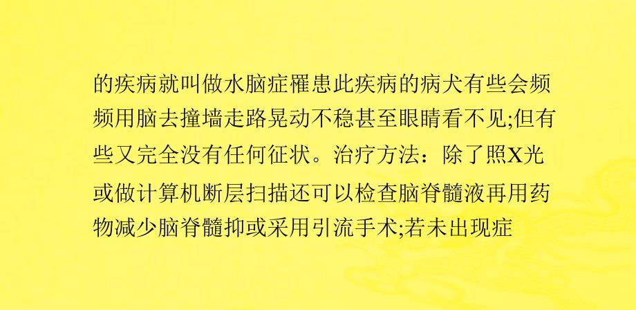 吉娃娃常见病及必备物品课件_第4页