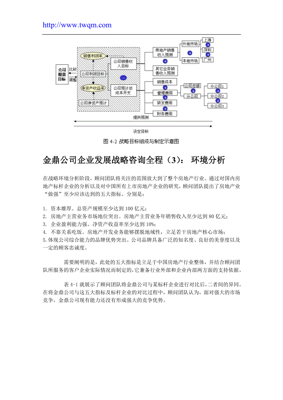 企业发展战略某公司企业发展战略咨询全程概述_第4页