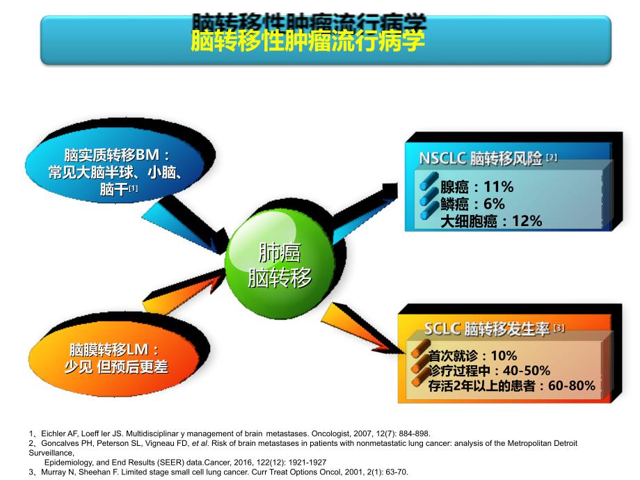 肺癌脑转移诊治课件_第4页