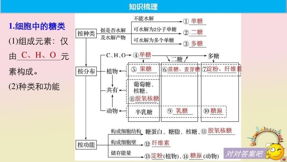 高考生物一轮复习第一单元细胞的化学组成第3讲糖类、脂质和核酸的结构和功能备考一体课件苏教版_第5页