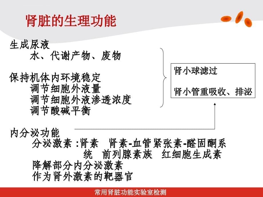 肾功能的试验室检查课件_第5页